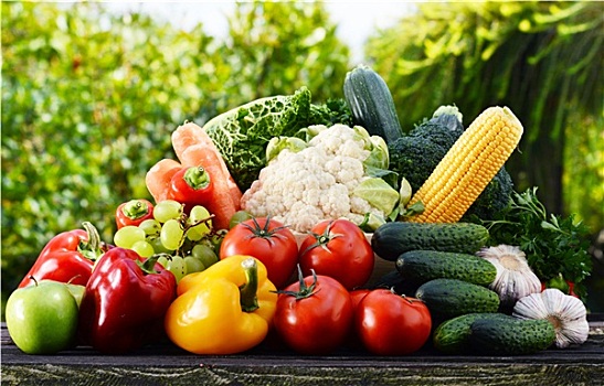 种类,生食,有机,蔬菜,花园