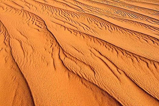 沙子,波纹,纹理,沙丘,阿尔及利亚,撒哈拉沙漠,北非,非洲