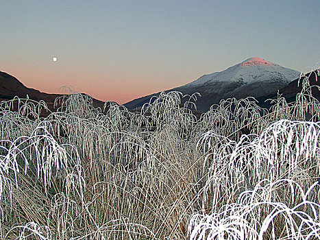 苏格兰,斯特灵,冬景,山,月亮