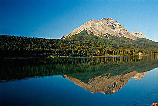 湖,顶峰,幽鹤国家公园,不列颠哥伦比亚省,加拿大
