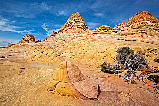 彩色,岩石构造,狼丘,南,悬崖,荒野,犹他,亚利桑那,北美,美国