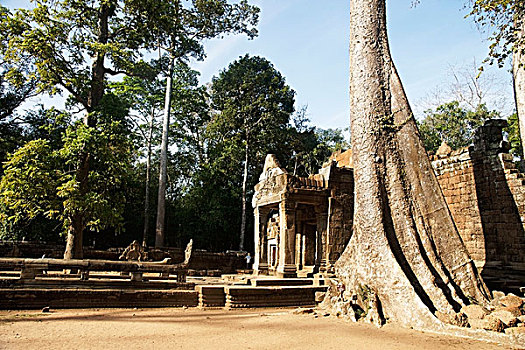 柬埔寨,塔普伦寺,庙宇,吴哥窟