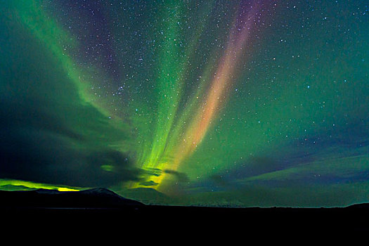 北极光,高处,高原,瑞考尔特,冰岛,欧洲