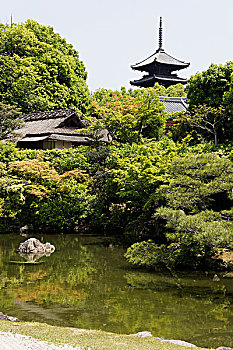 仁和寺,庙宇,水塘,京都,日本