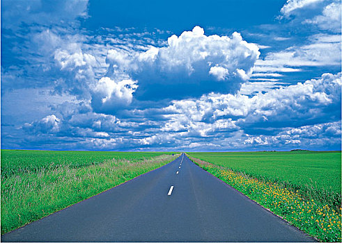 道路,通过,风景