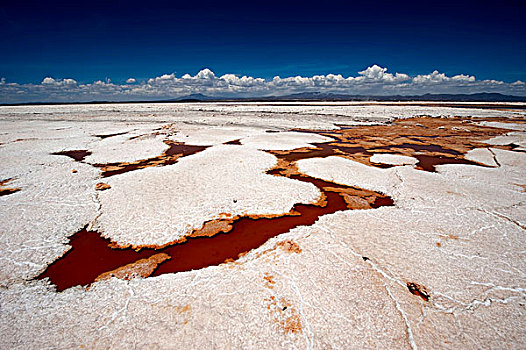 硫磺,春天,盐湖,乌尤尼,玻利维亚,南美