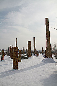 木化石雪景