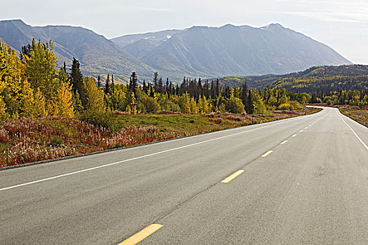 深秋,海恩斯,道路,叶子,秋色,克卢恩国家公园,自然保护区,育空地区,加拿大
