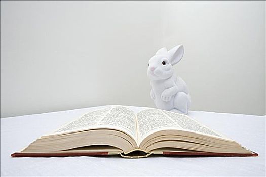 玩具,兔子,书本
