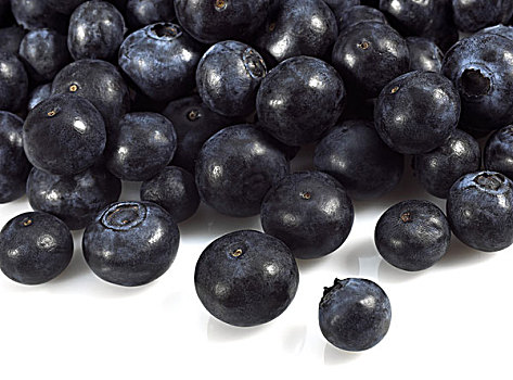 蓝莓,越桔,越桔属,白色背景