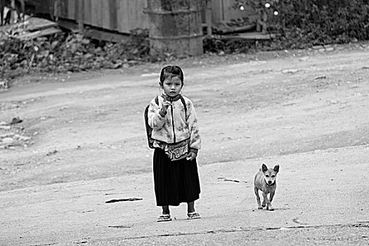 小女孩,狗,街上,琅勃拉邦,老挝,亚洲