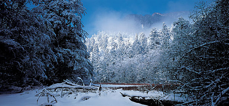 四川贡嘎山海螺沟