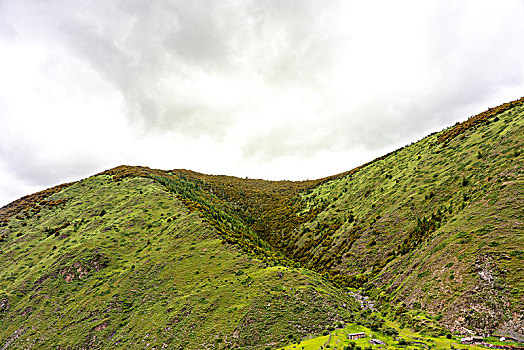 峡谷中的绿水青山