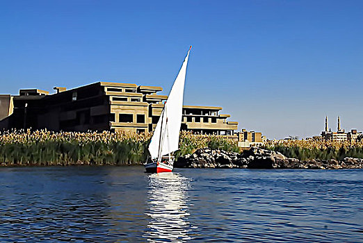 埃及尼罗河白帆