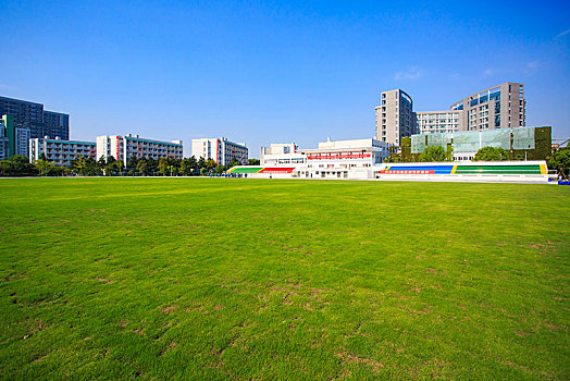 足球场,球场,绿色,草坪,草地