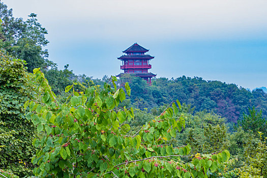 天子阁