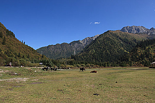 阿坝风光