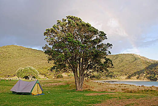 帐蓬,彩虹,雷因格海角,北岛,新西兰