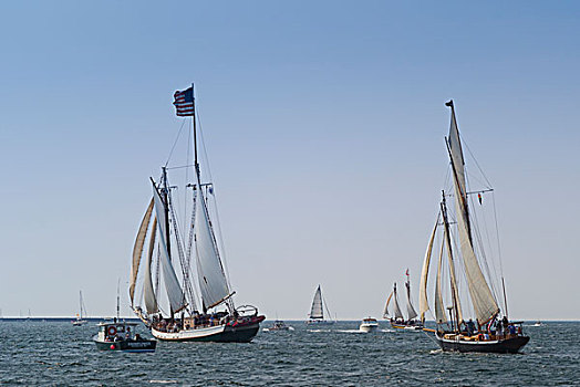 美国,马萨诸塞,海港,纵帆船,节日