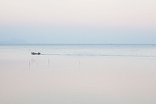 江门银湖湾湿地风光