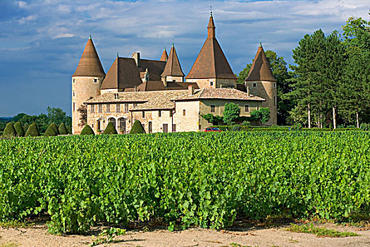 葡萄园,城堡,15世纪,博若莱葡萄酒,酒乡,罗纳河谷,法国