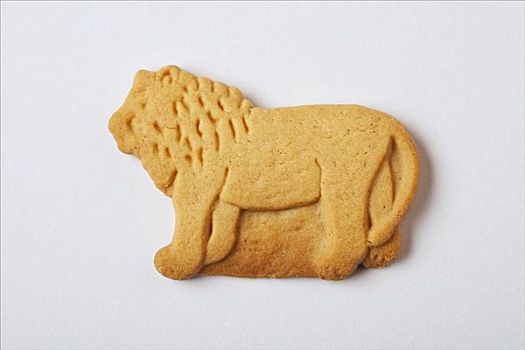 狮子,动物,饼干