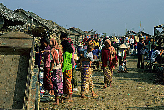 柬埔寨,靠近,收获,市场一景
