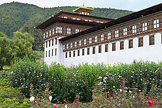 亚洲,不丹,户外,花园,中央图书馆