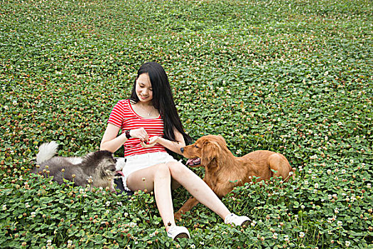 年轻的女孩和她的狗在草坪快乐的玩耍