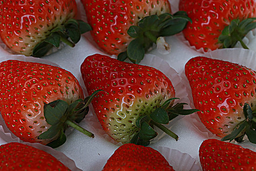 草莓红草莓白草莓