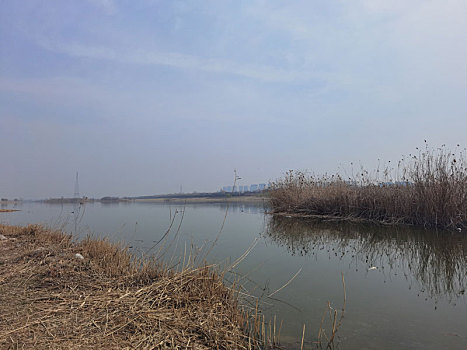 湖泊,渭河湿地,自然风光,湿地公园河流,西安渭河生态区,渭河河堤公园河流与,河畔风光,城市建筑,灞渭湿地,渭河,城市景观,杨凌渭河湿地公园