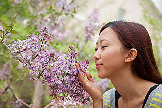 美女,闭眼,嗅,花,公园,春天