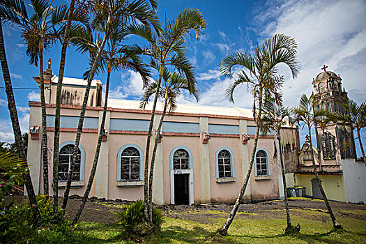 粉色,教堂,棕榈树,留尼汪岛