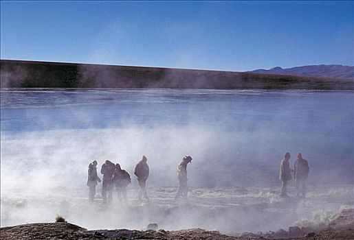 人,游客,蒸汽,温泉,玻利维亚,南美