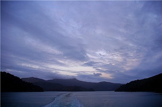 烹饪,海峡,皮克顿,惠灵顿