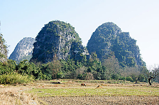 桂林喀斯特山景风光