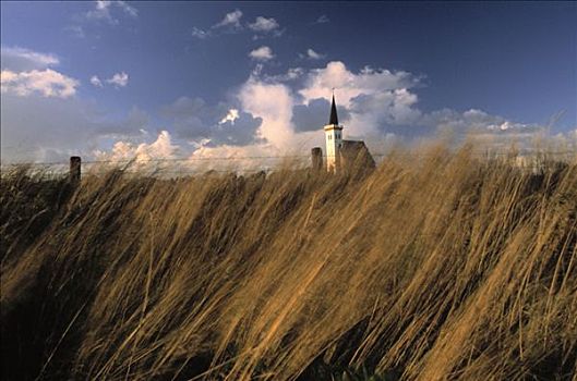 草,教堂,尖顶,荷兰