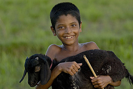 乡村,孩子,山羊,草场,孟加拉,六月,2007年,黑色,状况,牲畜,抬起,区域