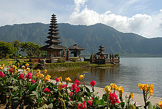 巴厘岛,印度教,彩色,花,盛开,塔,布拉坦湖,庙宇,湖,印度尼西亚,东南亚,亚洲