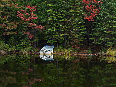 汽艇,湖,秋天,阿尔冈金省立公园,安大略省,加拿大