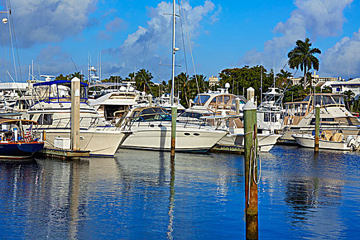 劳德代尔堡,码头,船,佛罗里达,美国