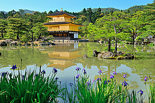 金阁寺,庙宇,历史建筑,京都,日本