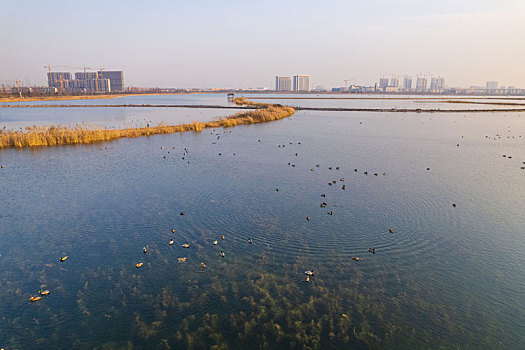 涟水县涟水湖应急饮用水水源地保护区