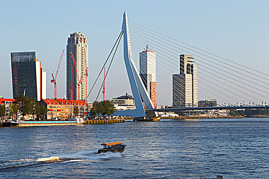 桥,地区,默兹河,河,鹿特丹,荷兰,欧洲