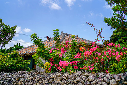 岛屿,冲绳,日本