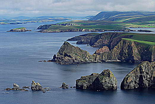 苏格兰,群岛,设得兰群岛,南,大陆,悬崖,头部
