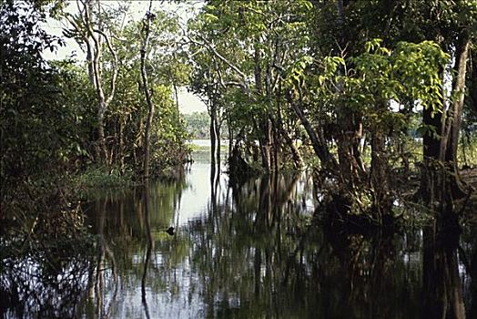 亚马逊河,巴西