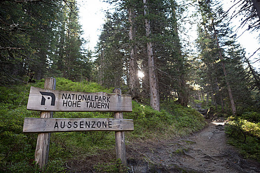丛林,入口,上陶恩山国家公园,标识,徒步旅行,萨尔茨堡,奥地利