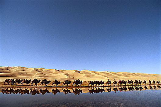 中亚,沙漠,戈壁,驼队,绿洲,水,反射,蒙古,亚洲,海洋,倒影,沙子,沙丘,旅行,骆驼,牧群,人,蒙古人,游牧,晴朗
