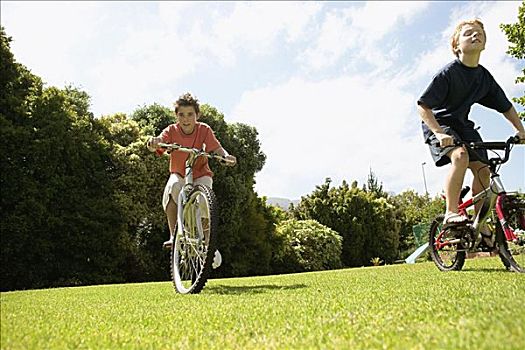 孩子,男孩,骑自行车,公园
